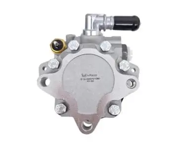 Bomba Dirección Hidráulica Arauca X1 - 2