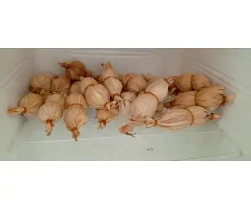 Hallaquitas de Pollo y Chicharron